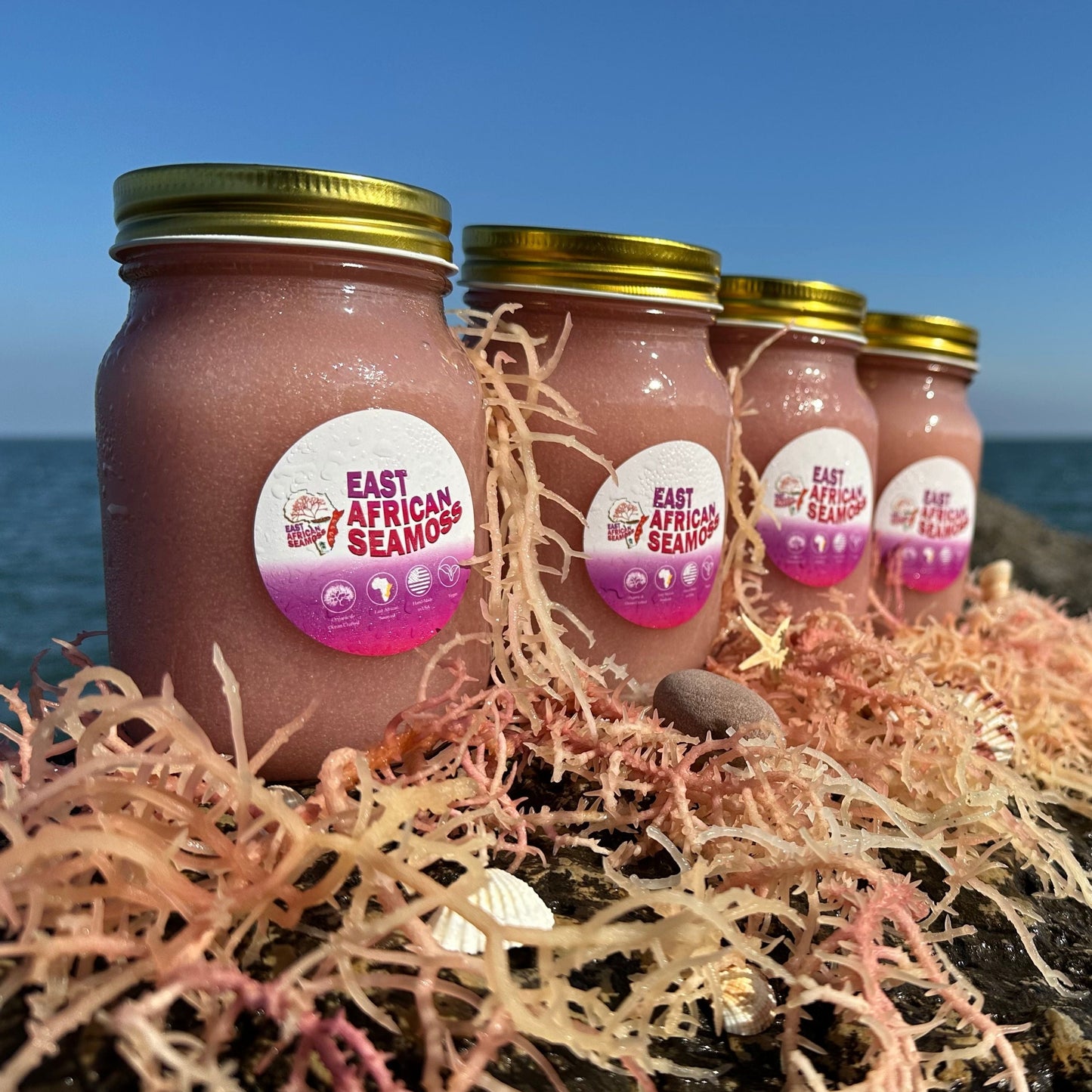 *4-PACK DEAL* East African Sea Moss Gel (4 - 16oz jars) Rainbow