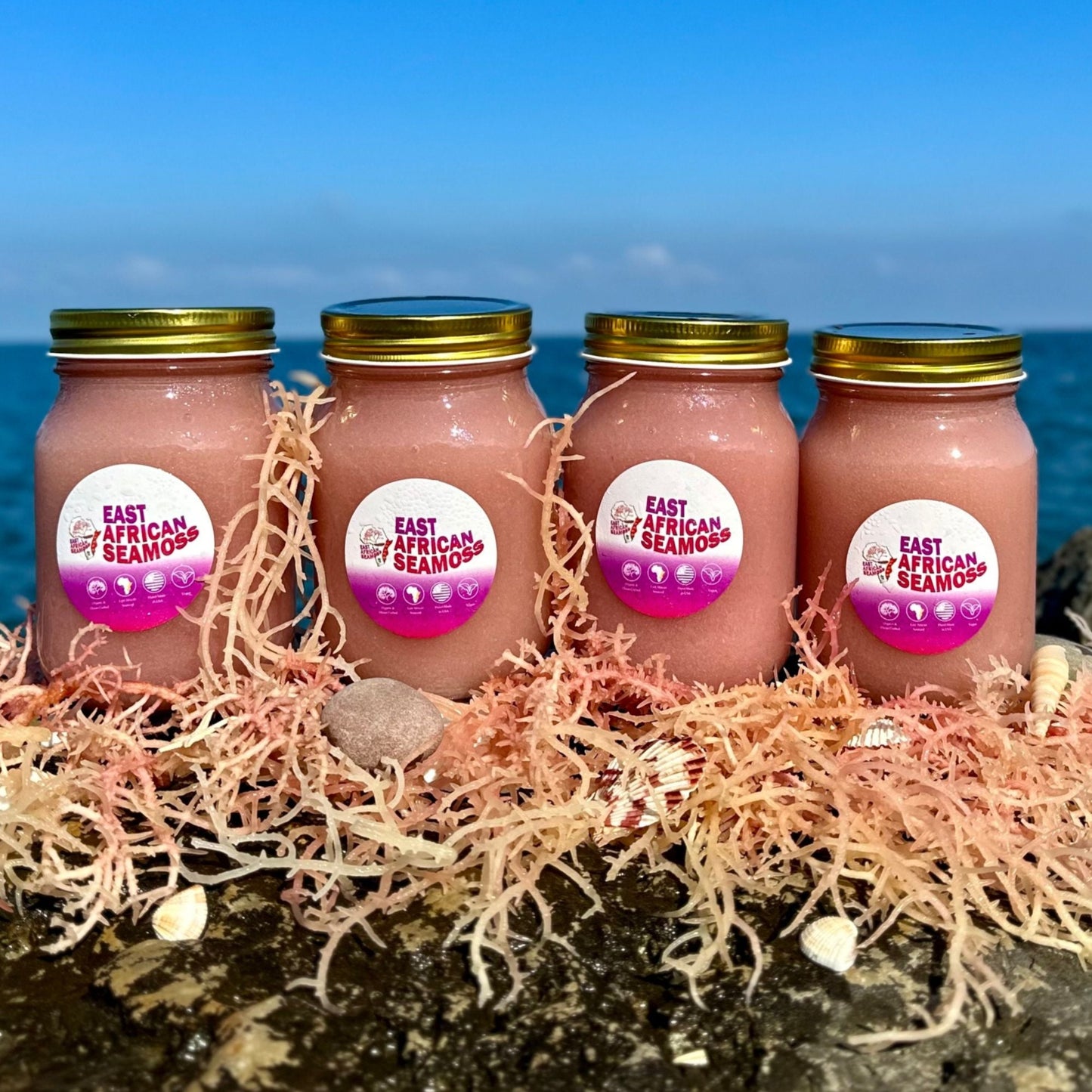 *4-PACK DEAL* East African Sea Moss Gel (4 - 16oz jars) Rainbow