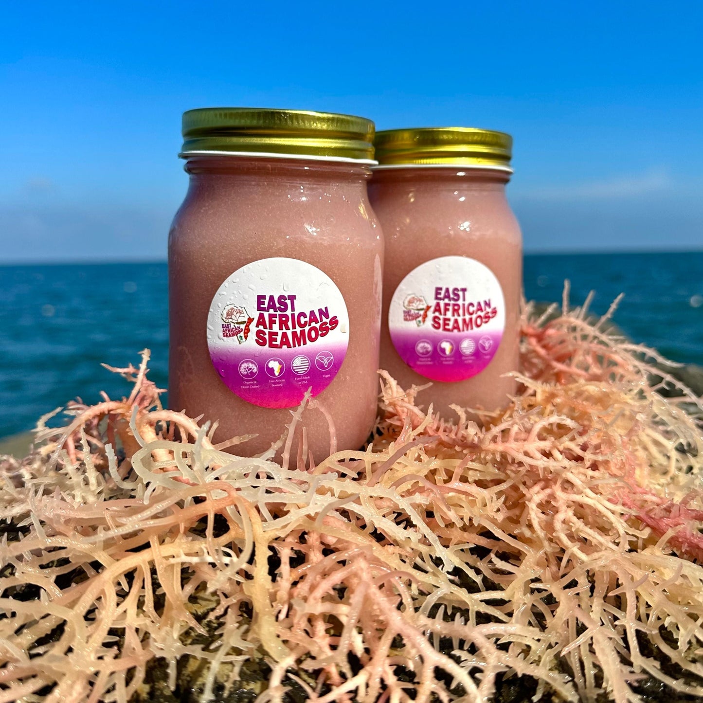 *BUNDLE DEAL* East African Sea Moss Gel (2 - 16oz jars) Rainbow