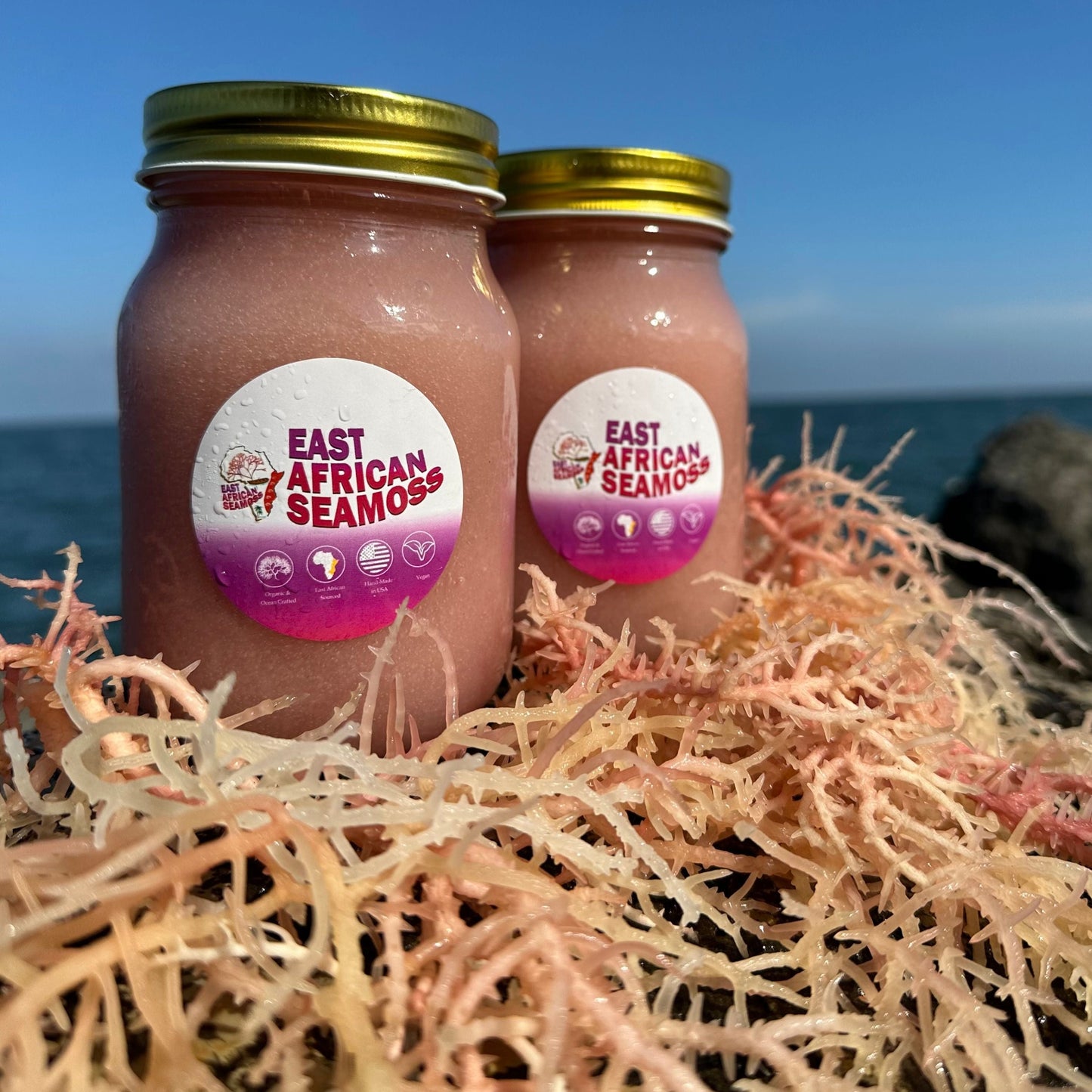 *BUNDLE DEAL* East African Sea Moss Gel (2 - 16oz jars) Rainbow