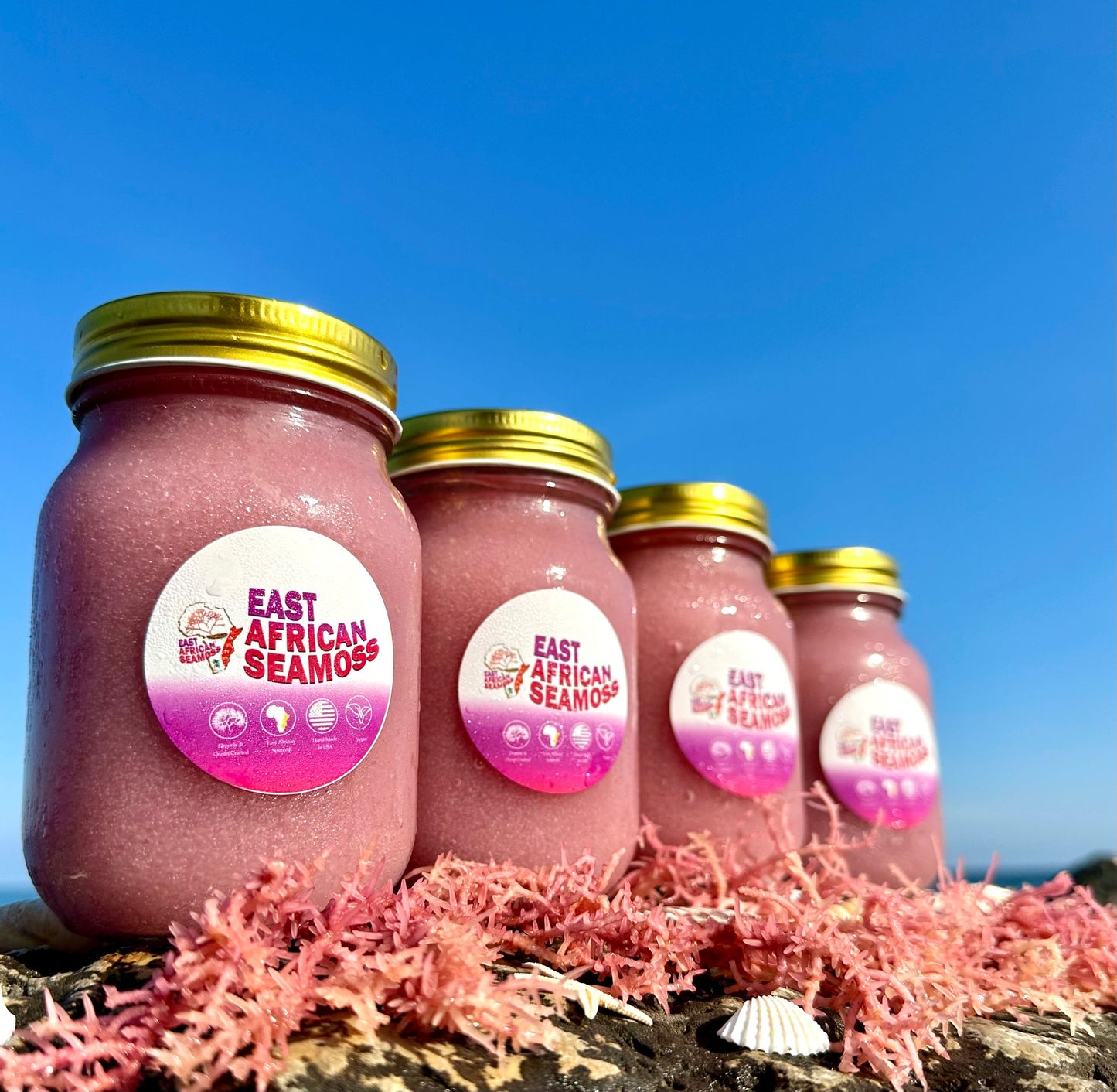 *4-PACK DEAL* East African Sea Moss Gel (4 - 16oz jars) Purple