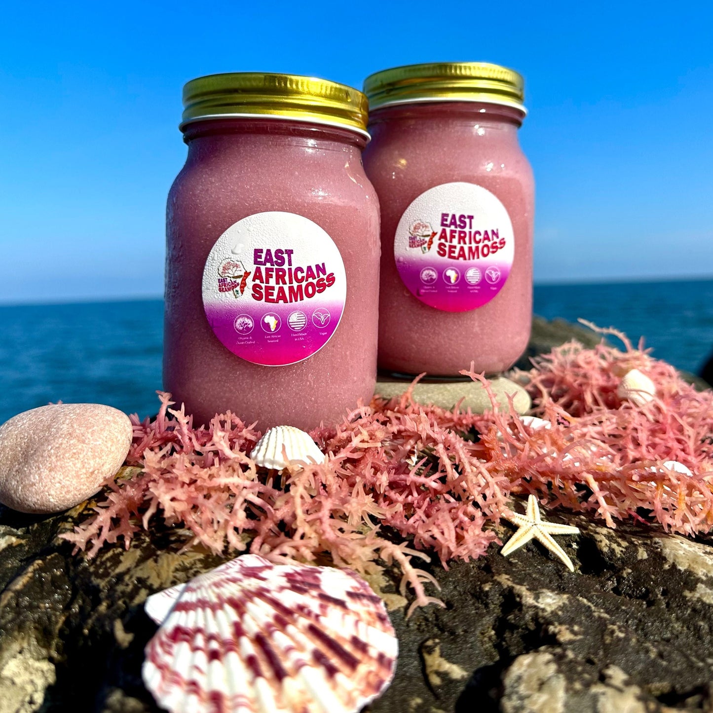 *BUNDLE DEAL* East African PURPLE Sea Moss Gel (2 - 16oz jars)