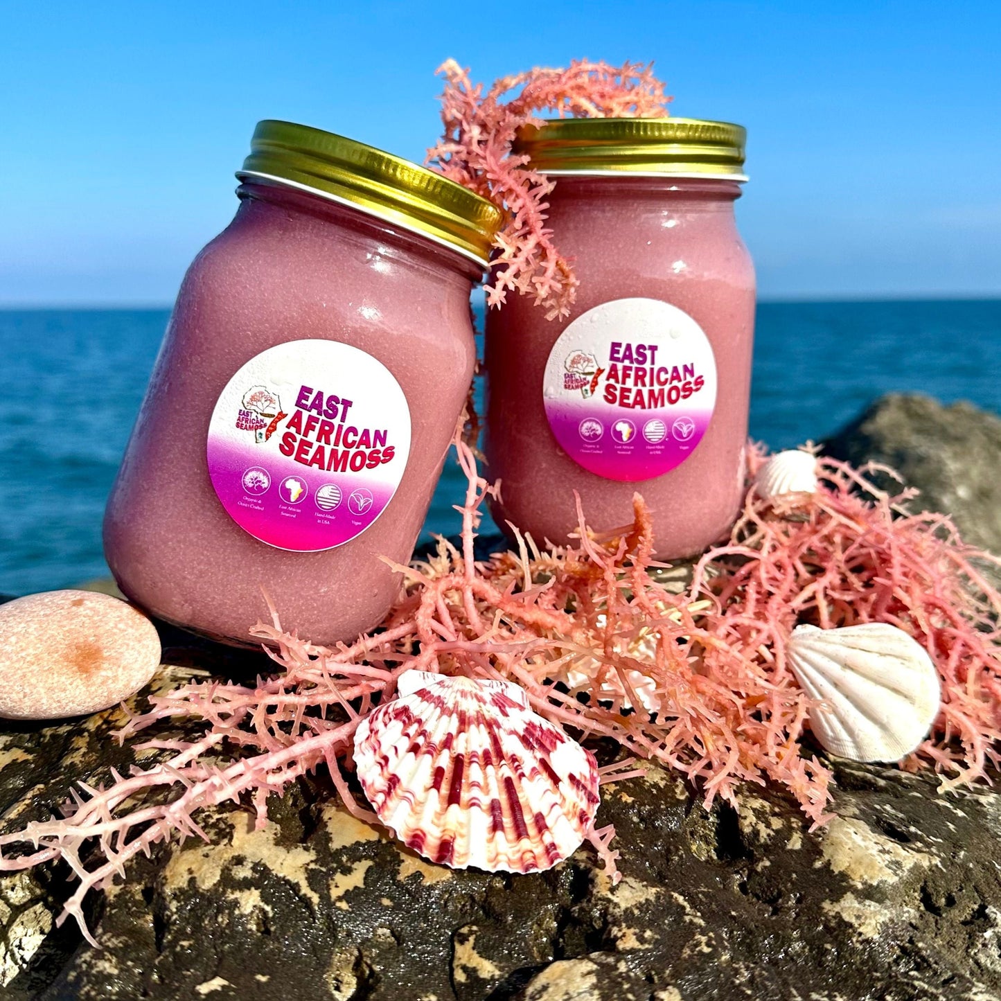*BUNDLE DEAL* East African PURPLE Sea Moss Gel (2 - 16oz jars)