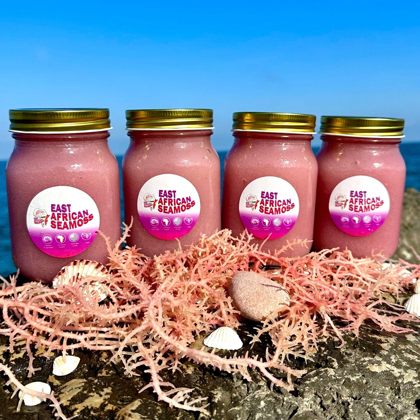 *4-PACK DEAL* East African Sea Moss Gel (4 - 16oz jars) Purple
