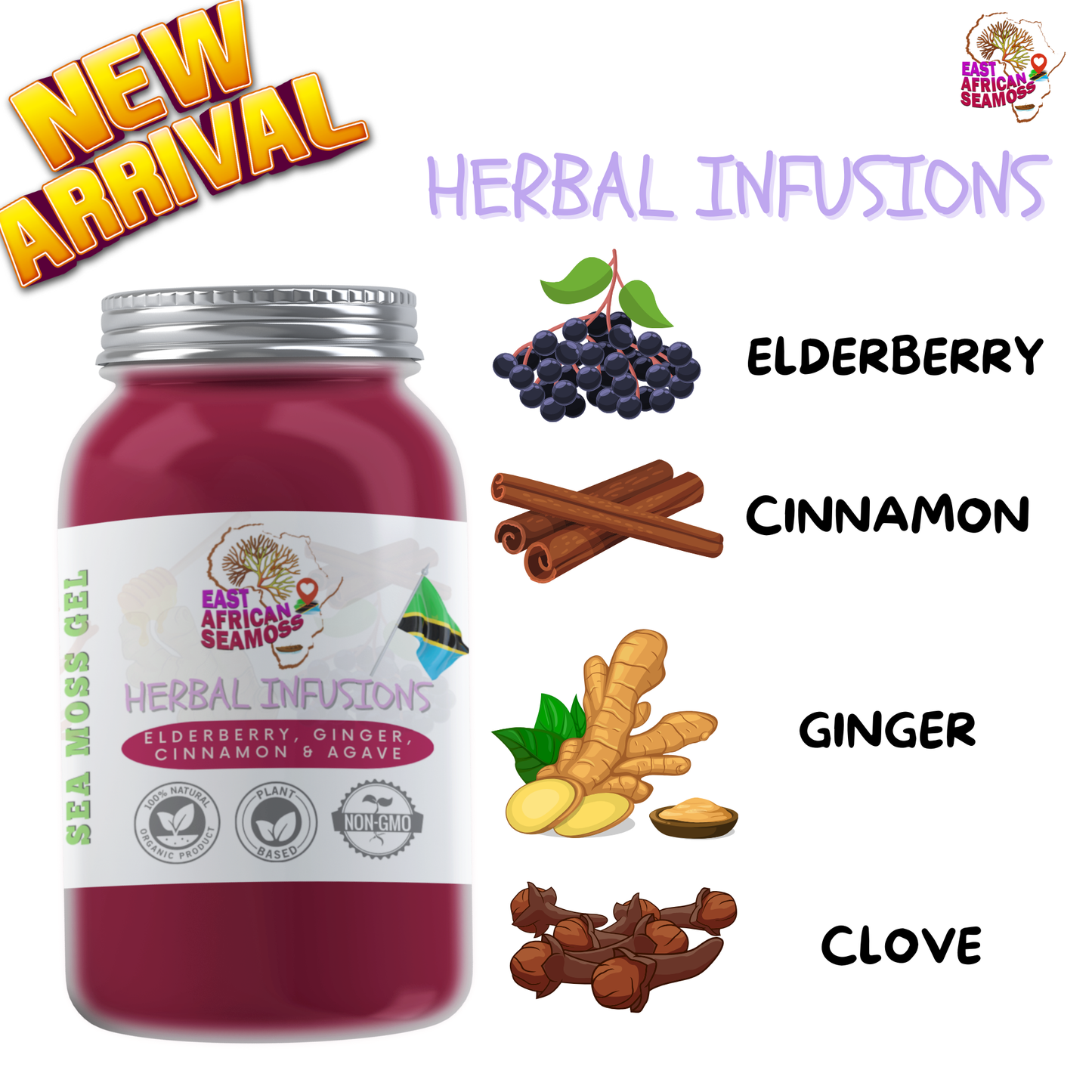 VARIETY PACK (Rainbow, Purple, Cinna-Moss & Elderberry/Ginger)
